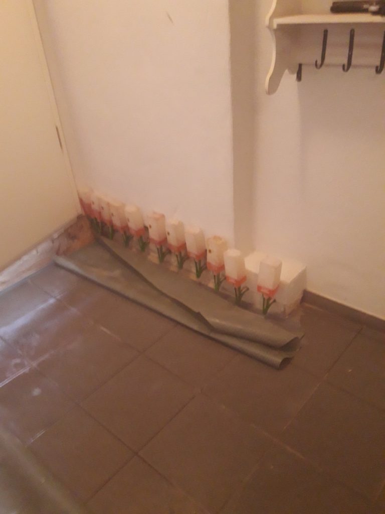 Bol-Bau
